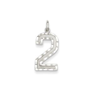 14k White Gold, Varsity Collection, Large D/C Pendant, Number 2