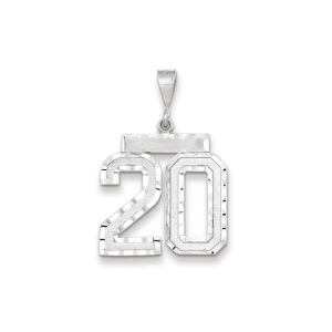 14k White Gold, Varsity Collection, Large D/C Pendant, Number 20