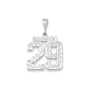 14k White Gold, Varsity Collection, Large D/C Pendant, Number 29