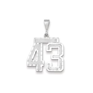 14k White Gold, Varsity Collection, Large D/C Pendant, Number 43