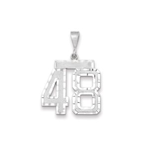 14k White Gold, Varsity Collection, Large D/C Pendant, Number 48