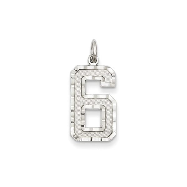 14k White Gold, Varsity Collection, Large D/C Pendant, Number 6