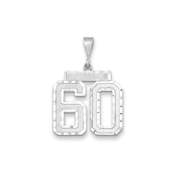 14k White Gold, Varsity Collection, Large D/C Pendant, Number 60