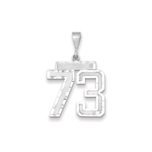 14k White Gold, Varsity Collection, Large D/C Pendant, Number 73