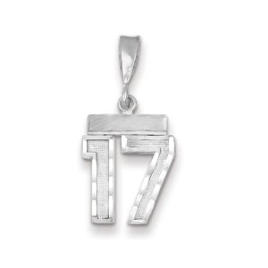 14k White Gold, Varsity Collection, Small D/C Pendant, Number 17