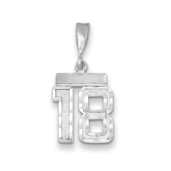 14k White Gold, Varsity Collection, Small D/C Pendant, Number 18