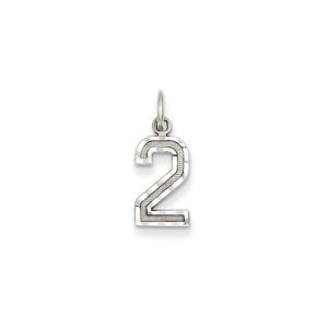 14k White Gold, Varsity Collection, Small D/C Pendant, Number 2