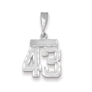 14k White Gold, Varsity Collection, Small D/C Pendant, Number 43