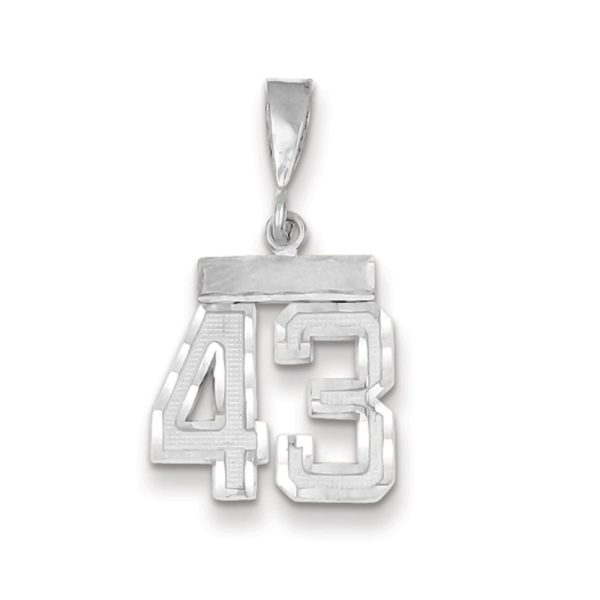 14k White Gold, Varsity Collection, Small D/C Pendant, Number 43