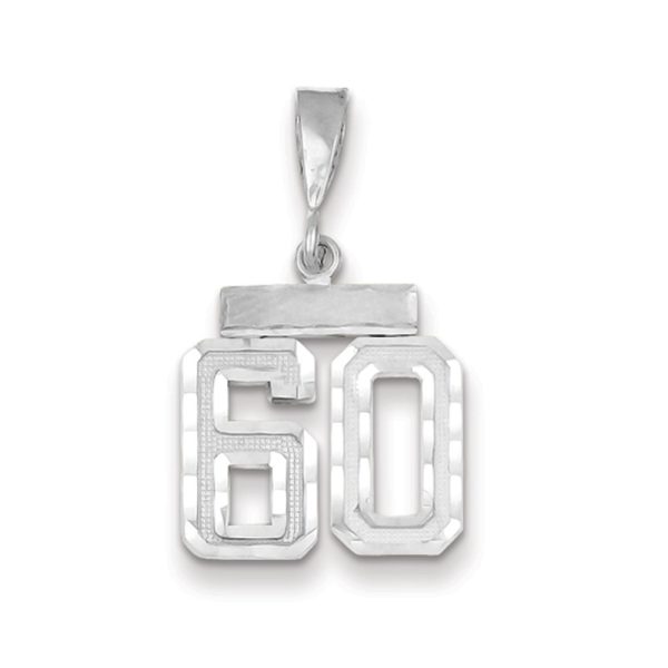 14k White Gold, Varsity Collection, Small D/C Pendant, Number 60