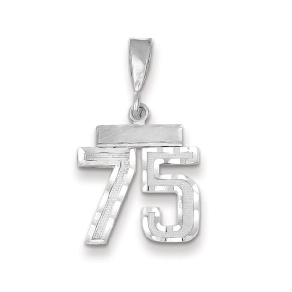 14k White Gold, Varsity Collection, Small D/C Pendant, Number 75