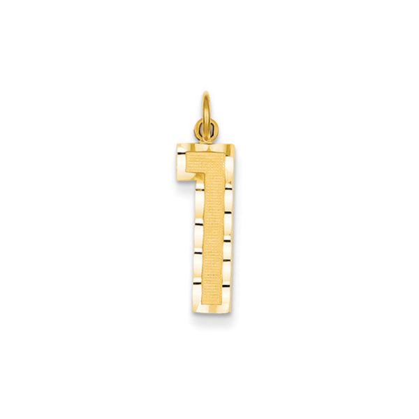 14k Yellow Gold, Varsity Collection, Large D/C Pendant Number 1