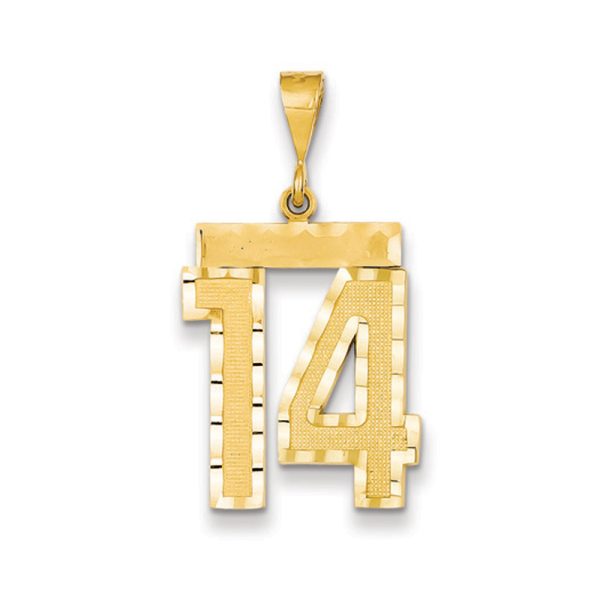 14k Yellow Gold, Varsity Collection, Large D/C Pendant Number 14