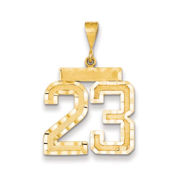 14k Yellow Gold, Varsity Collection, Large D/C Pendant Number 23