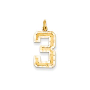 14k Yellow Gold, Varsity Collection, Large D/C Pendant Number 3