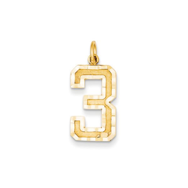 14k Yellow Gold, Varsity Collection, Large D/C Pendant Number 3