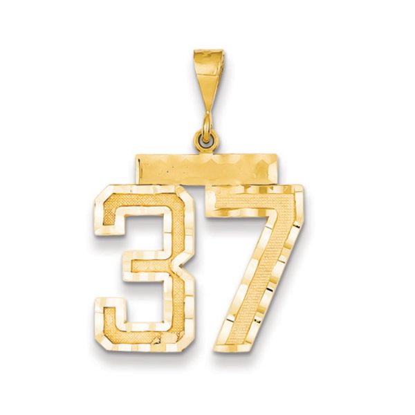 14k Yellow Gold, Varsity Collection, Large D/C Pendant Number 37