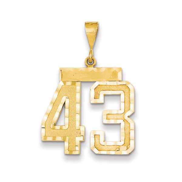 14k Yellow Gold, Varsity Collection, Large D/C Pendant Number 43