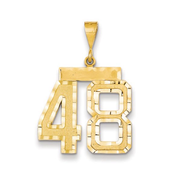 14k Yellow Gold, Varsity Collection, Large D/C Pendant Number 48