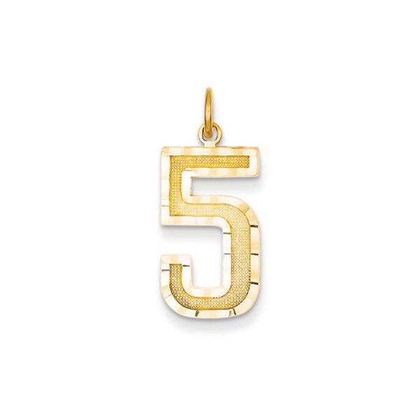 14k Yellow Gold, Varsity Collection, Large D/C Pendant Number 5