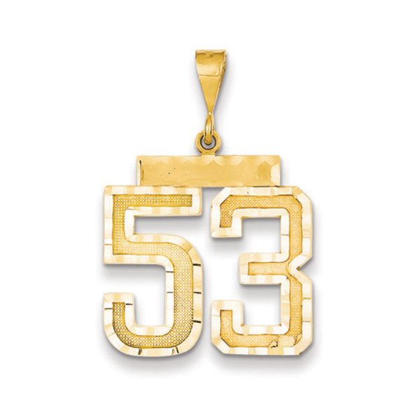 14k Yellow Gold, Varsity Collection, Large D/C Pendant Number 53