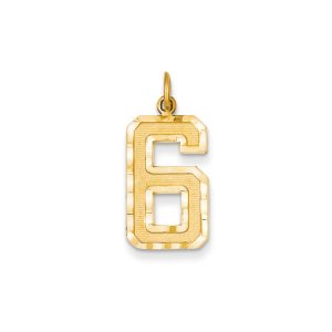 14k Yellow Gold, Varsity Collection, Large D/C Pendant Number 6