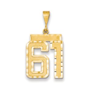 14k Yellow Gold, Varsity Collection, Large D/C Pendant Number 61