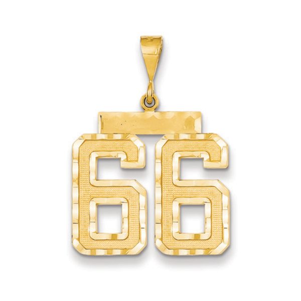 14k Yellow Gold, Varsity Collection, Large D/C Pendant Number 66