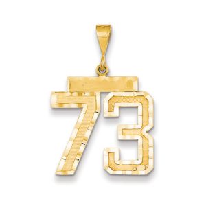 14k Yellow Gold, Varsity Collection, Large D/C Pendant Number 73