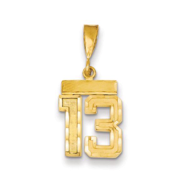 14k Yellow Gold, Varsity Collection, Small D/C Pendant Number 13