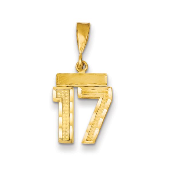 14k Yellow Gold, Varsity Collection, Small D/C Pendant Number 17