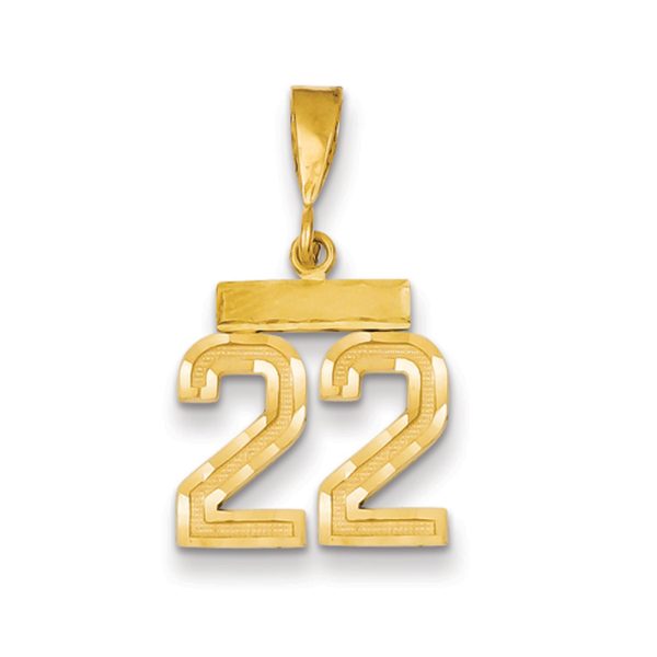 14k Yellow Gold, Varsity Collection, Small D/C Pendant Number 22