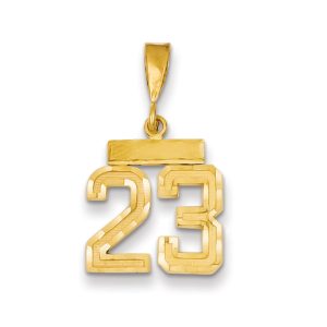 14k Yellow Gold, Varsity Collection, Small D/C Pendant Number 23