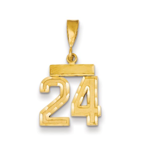 14k Yellow Gold, Varsity Collection, Small D/C Pendant Number 24