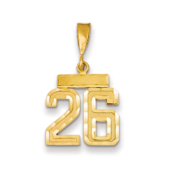 14k Yellow Gold, Varsity Collection, Small D/C Pendant Number 26