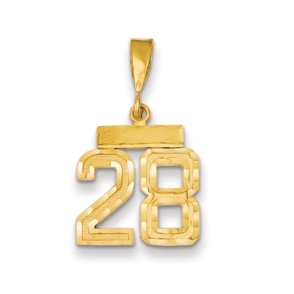 14k Yellow Gold, Varsity Collection, Small D/C Pendant Number 28