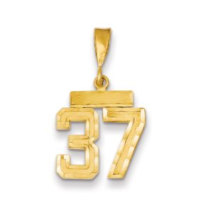 14k Yellow Gold, Varsity Collection, Small D/C Pendant Number 37