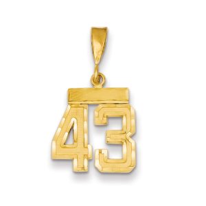 14k Yellow Gold, Varsity Collection, Small D/C Pendant Number 43