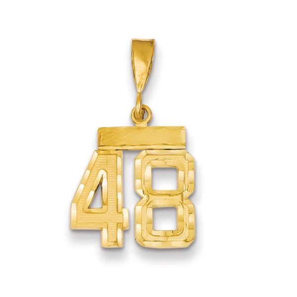 14k Yellow Gold, Varsity Collection, Small D/C Pendant Number 48