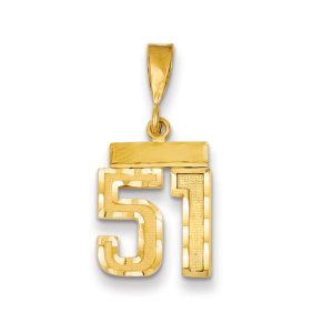 14k Yellow Gold, Varsity Collection, Small D/C Pendant Number 51