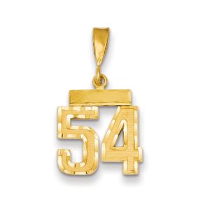 14k Yellow Gold, Varsity Collection, Small D/C Pendant Number 54