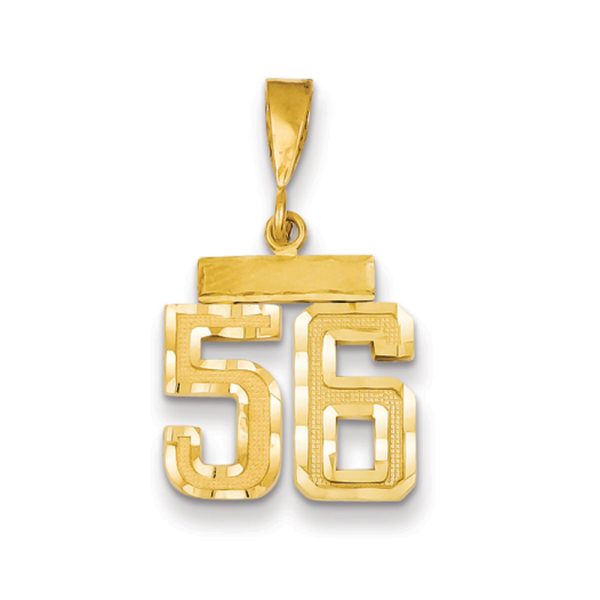 14k Yellow Gold, Varsity Collection, Small D/C Pendant Number 56