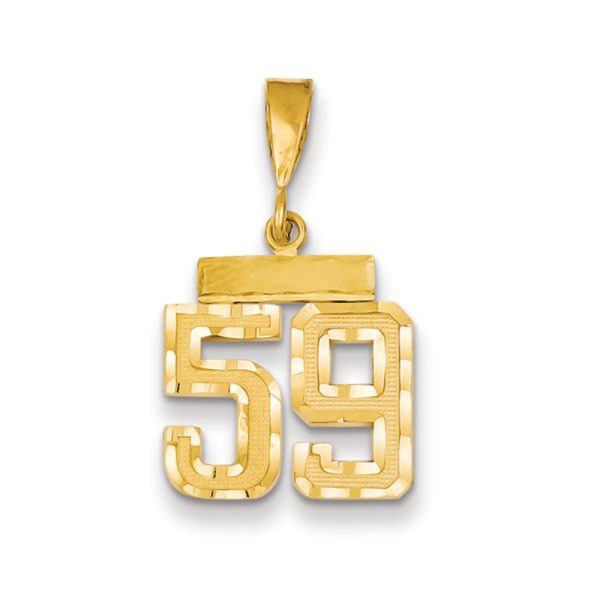 14k Yellow Gold, Varsity Collection, Small D/C Pendant Number 59