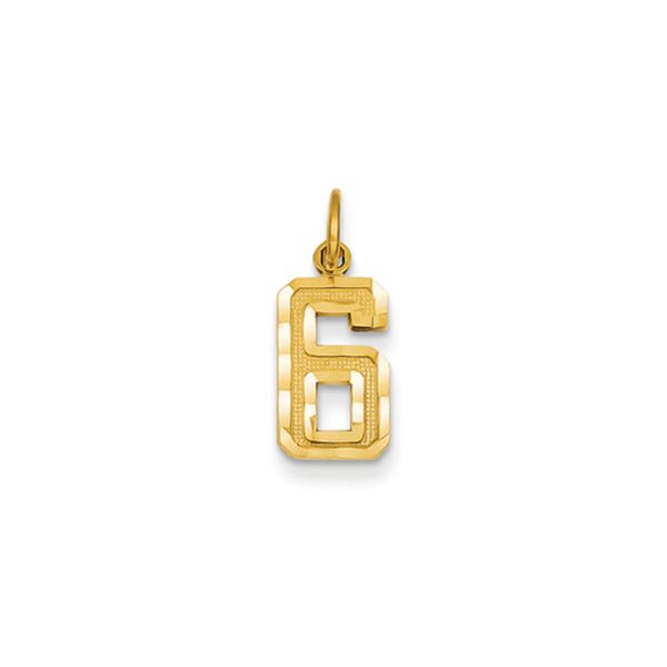 14k Yellow Gold, Varsity Collection, Small D/C Pendant Number 6