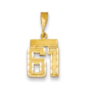 14k Yellow Gold, Varsity Collection, Small D/C Pendant Number 61