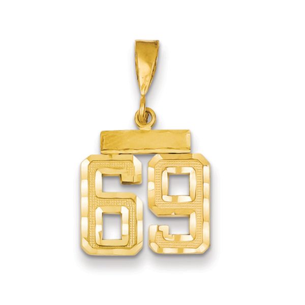 14k Yellow Gold, Varsity Collection, Small D/C Pendant Number 69