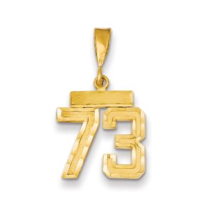 14k Yellow Gold, Varsity Collection, Small D/C Pendant Number 73