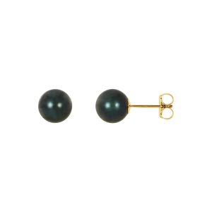 7mm Black Akoya Cultured Pearl 14k Yellow Gold Stud Earrings