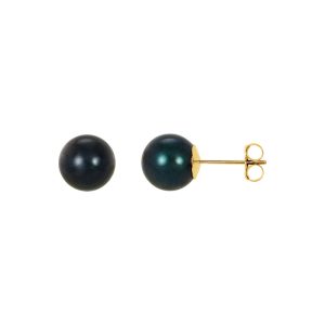 8mm Black Akoya Cultured Pearl 14k Yellow Gold Stud Earrings