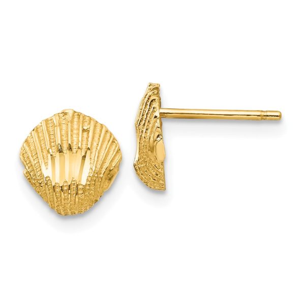 8mm Diamond Cut Seashell Post Earrings in 14k Yellow Gold